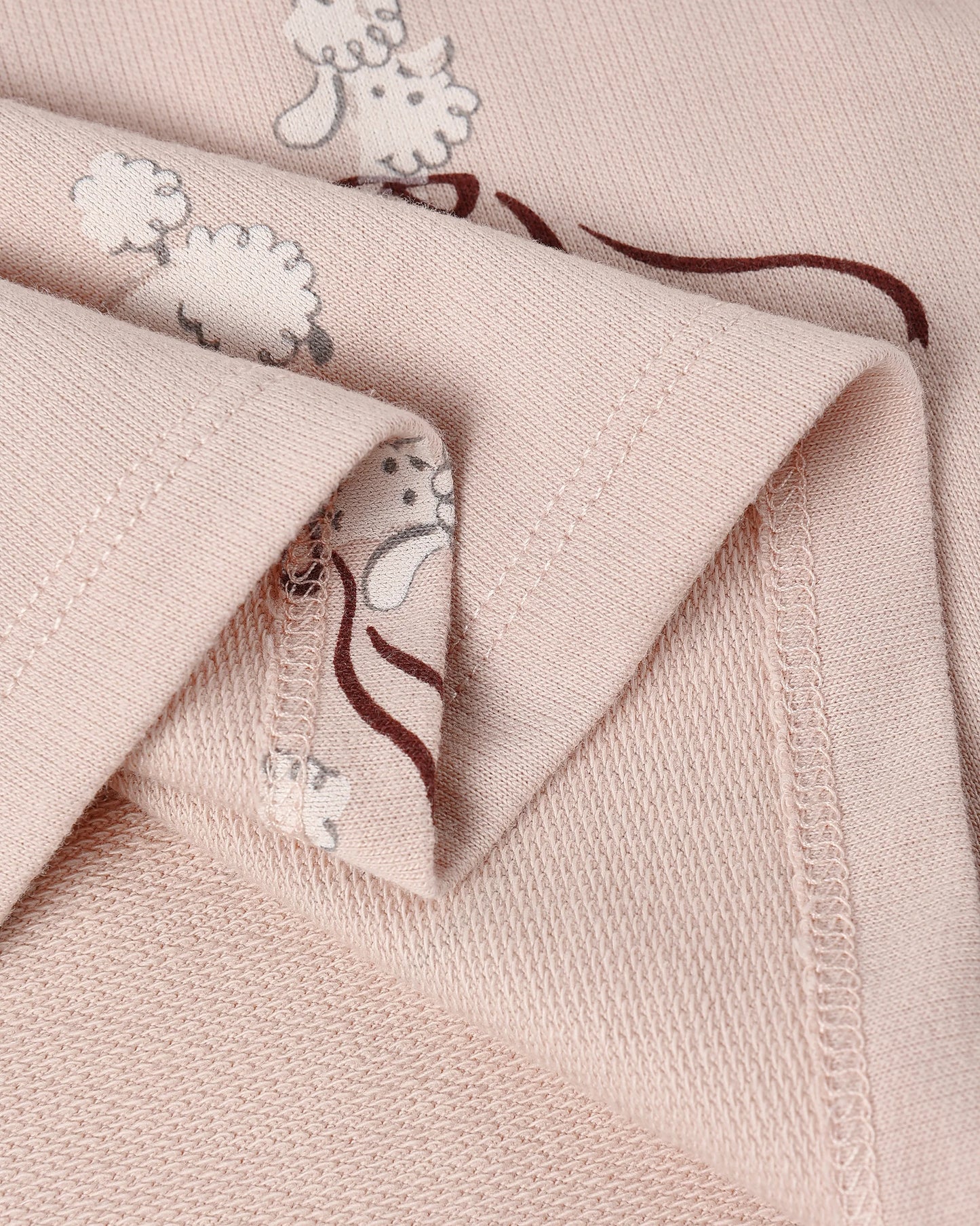 Blush Raglan Poodle Dress
