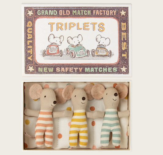 Triplet Baby Mice in Matchbox