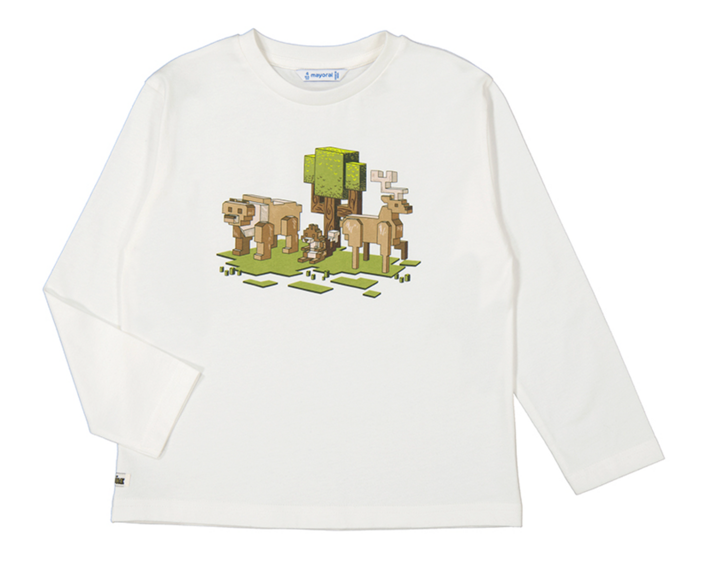 Minecraft Forest Top