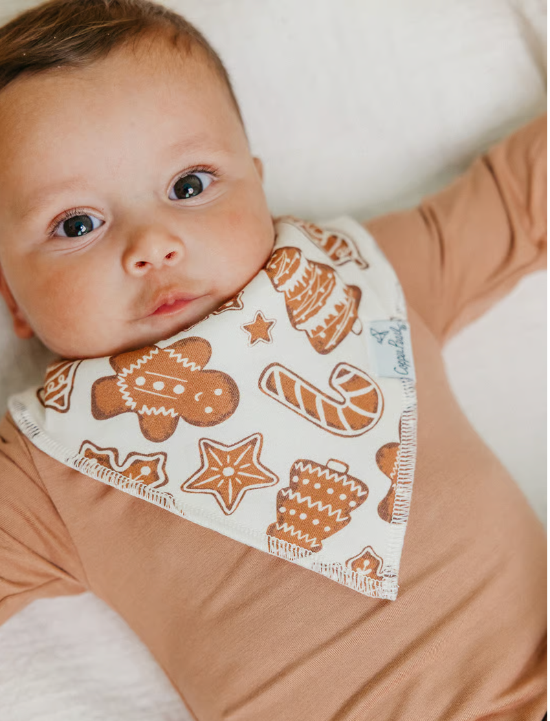 Gingerbread 4-Pack Bib Set