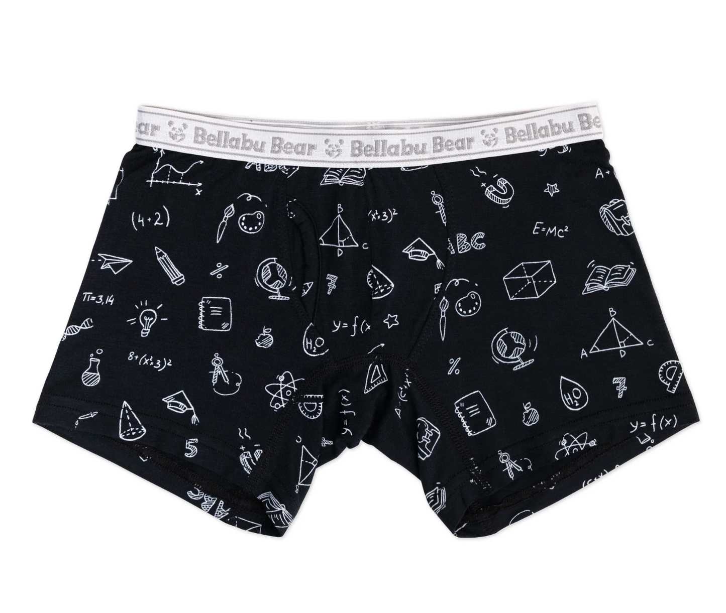 Math Equations Bamboo Boxers