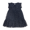Silver Hearts Navy Dress