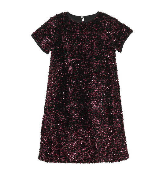 Vineyard Wine Sequin Dress
