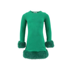 Emerald with Fur Trim Dress