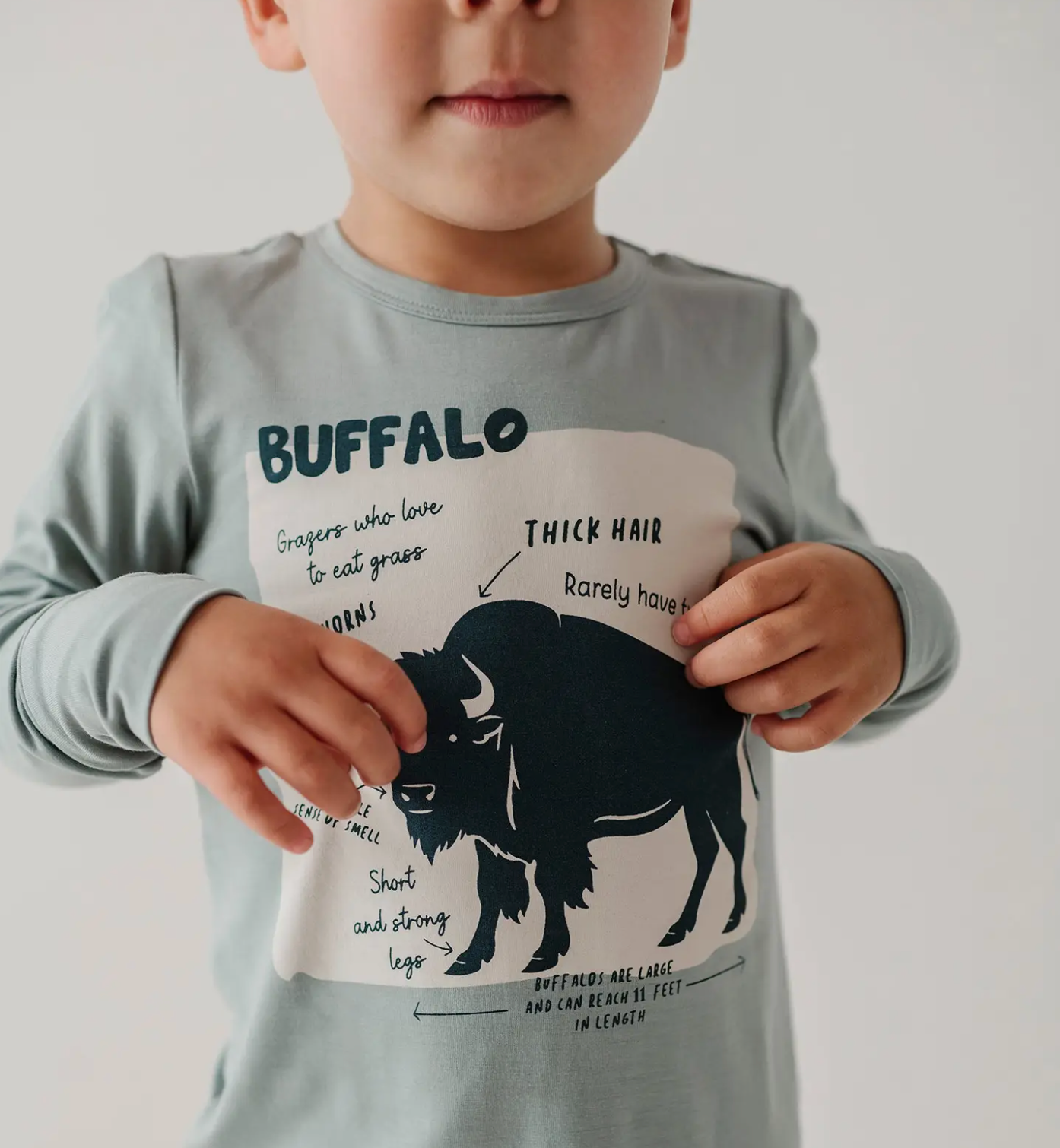 Blue Buffalo Top