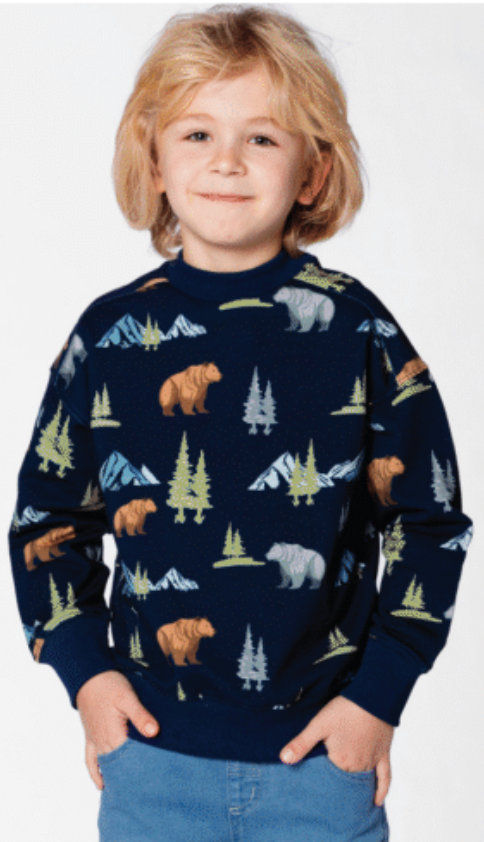 Mountain Bears Top
