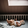 Blue Flowers Muslin Crib Sheet