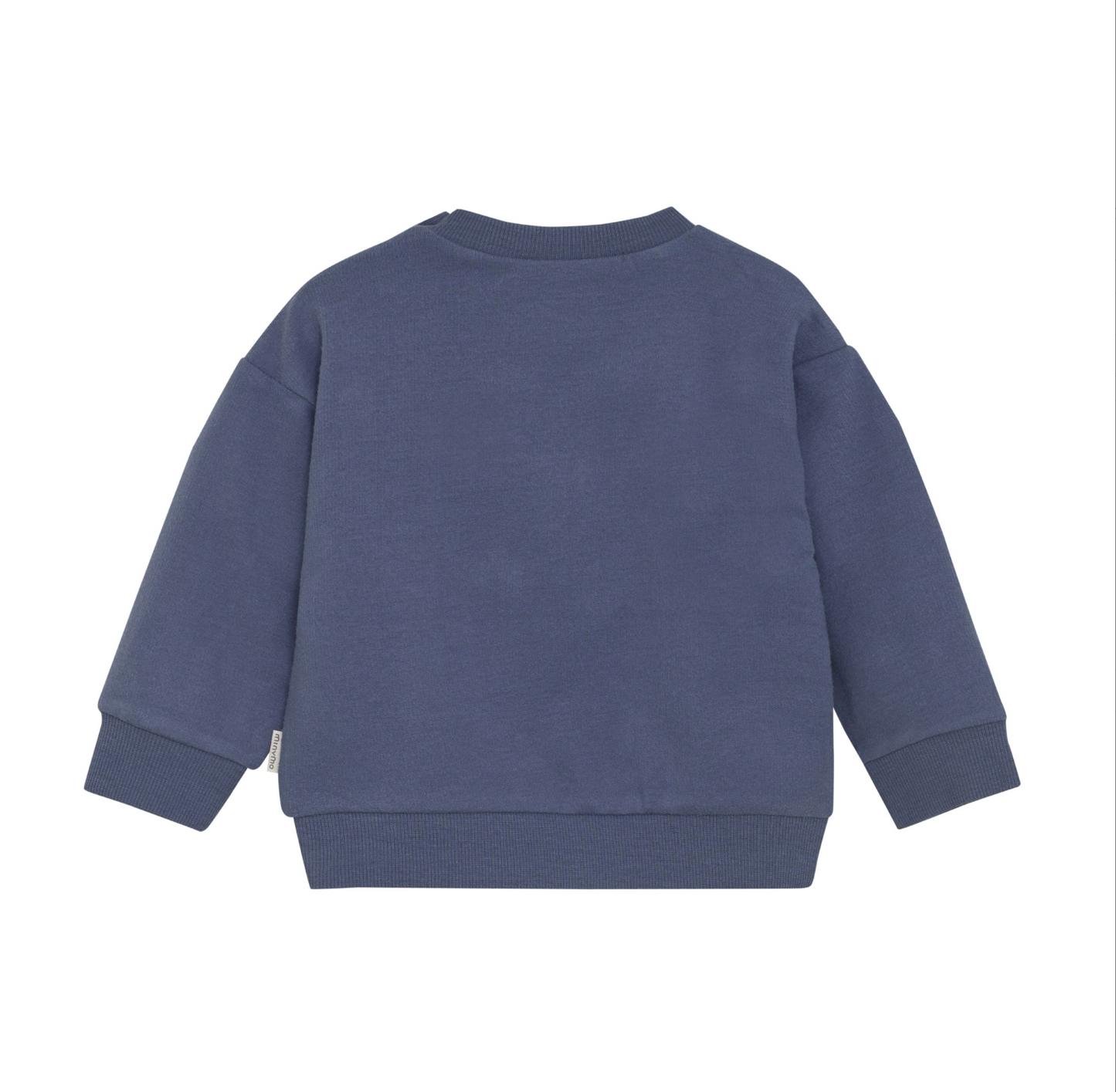 Vintage Indigo Dino Sweatshirt