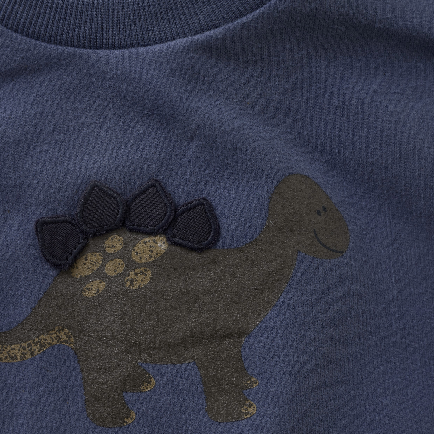 Vintage Indigo Dino Sweatshirt