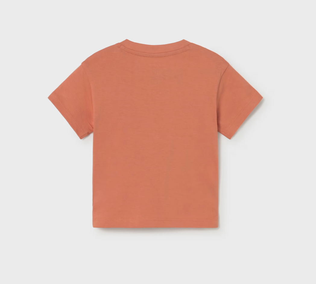 Clay Gecko Tee