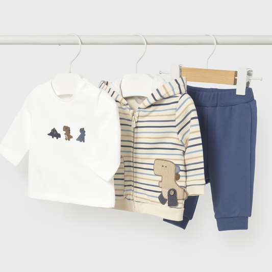 Children's clothing set with a hoodie, pants, and shirt on hangers against a white background