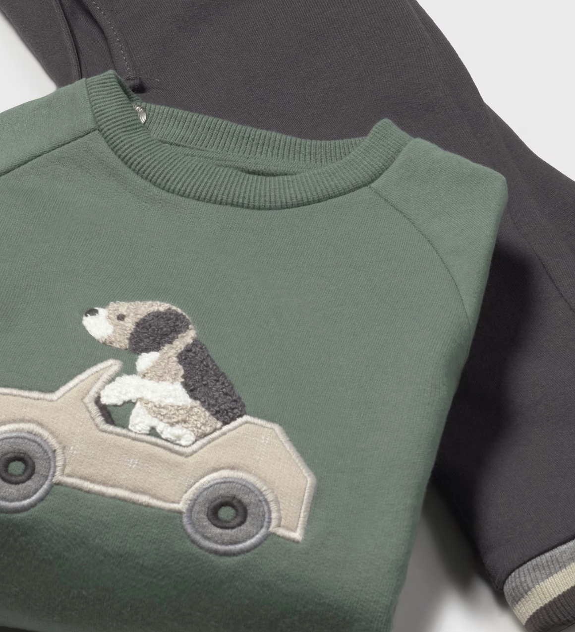 Green Dog Driving Jeep Set