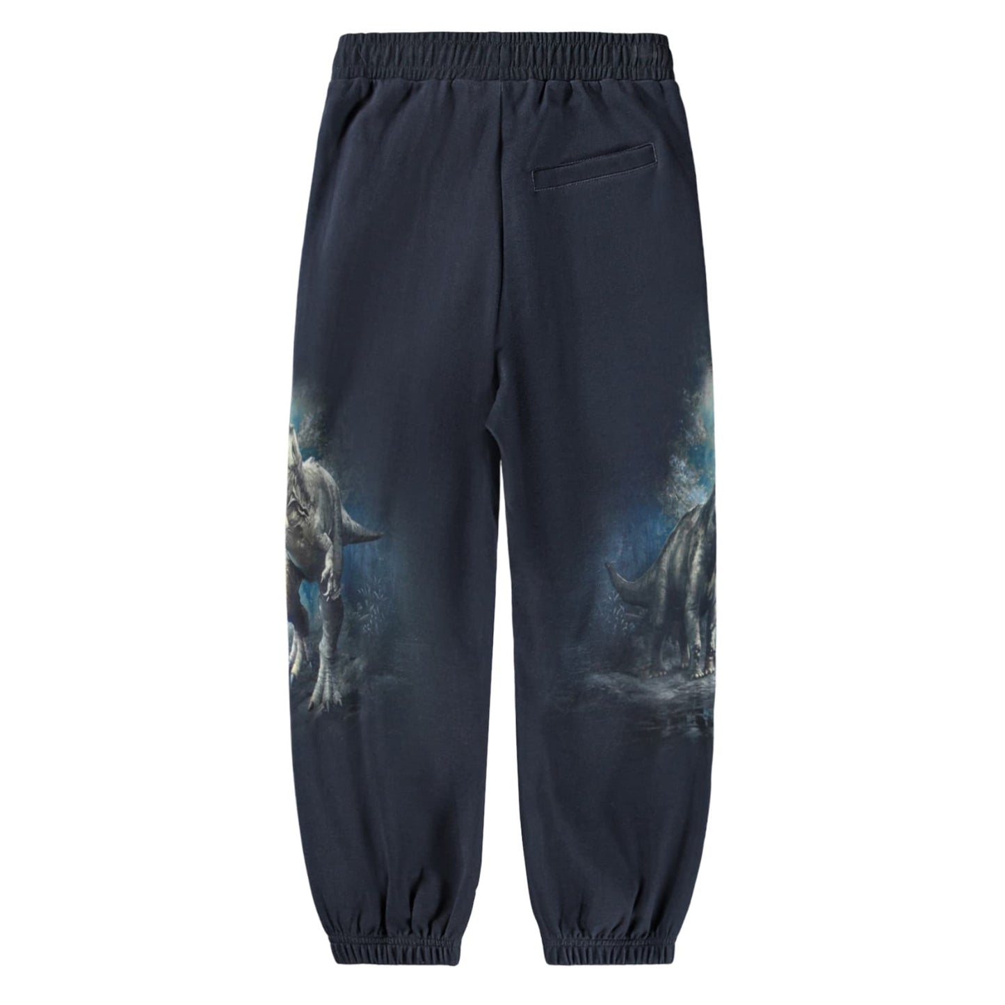 Dark blue pants with a wolf graphic on a white background