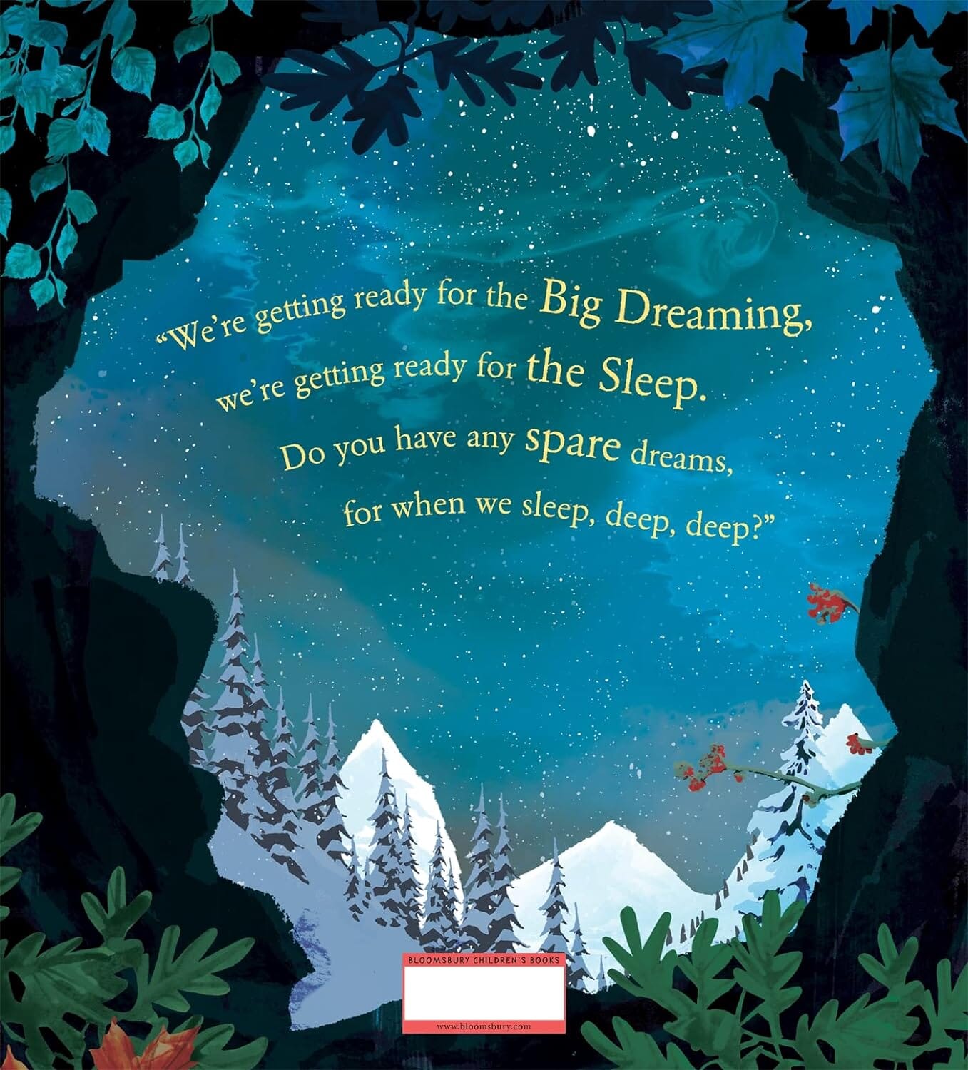 Bear's Big Dreaming 192 GIFT CHILD Macmillan Books 