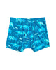 Walter Boys Briefs 3pk