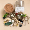 Dino Fossil Dig Dough Jar