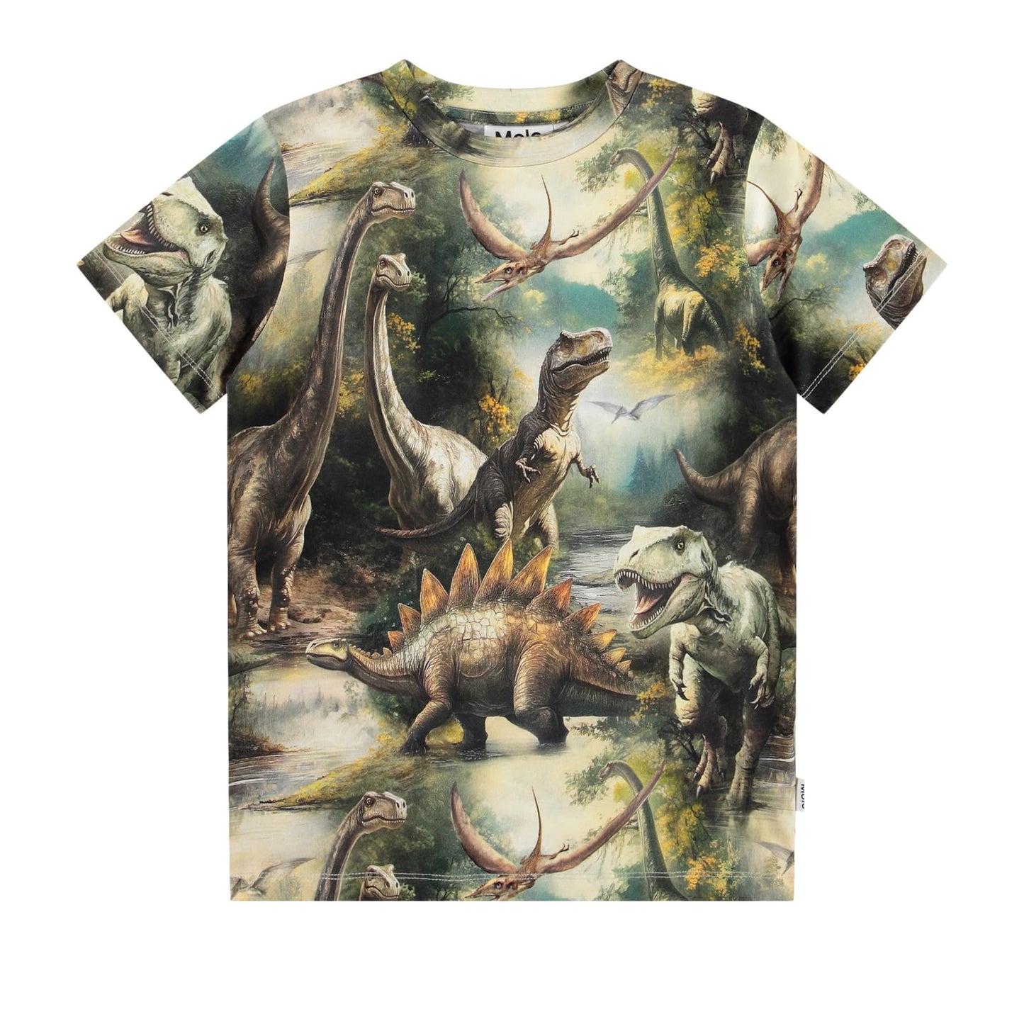 colorful dinosaur tshirt