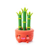 Hey Clay Plant Friends