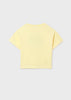 Fresh Lemons Top