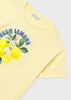 Fresh Lemons Top