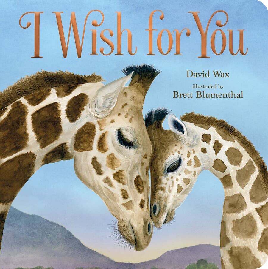 I wish For You 191 GIFT BABY Macmillan Books 