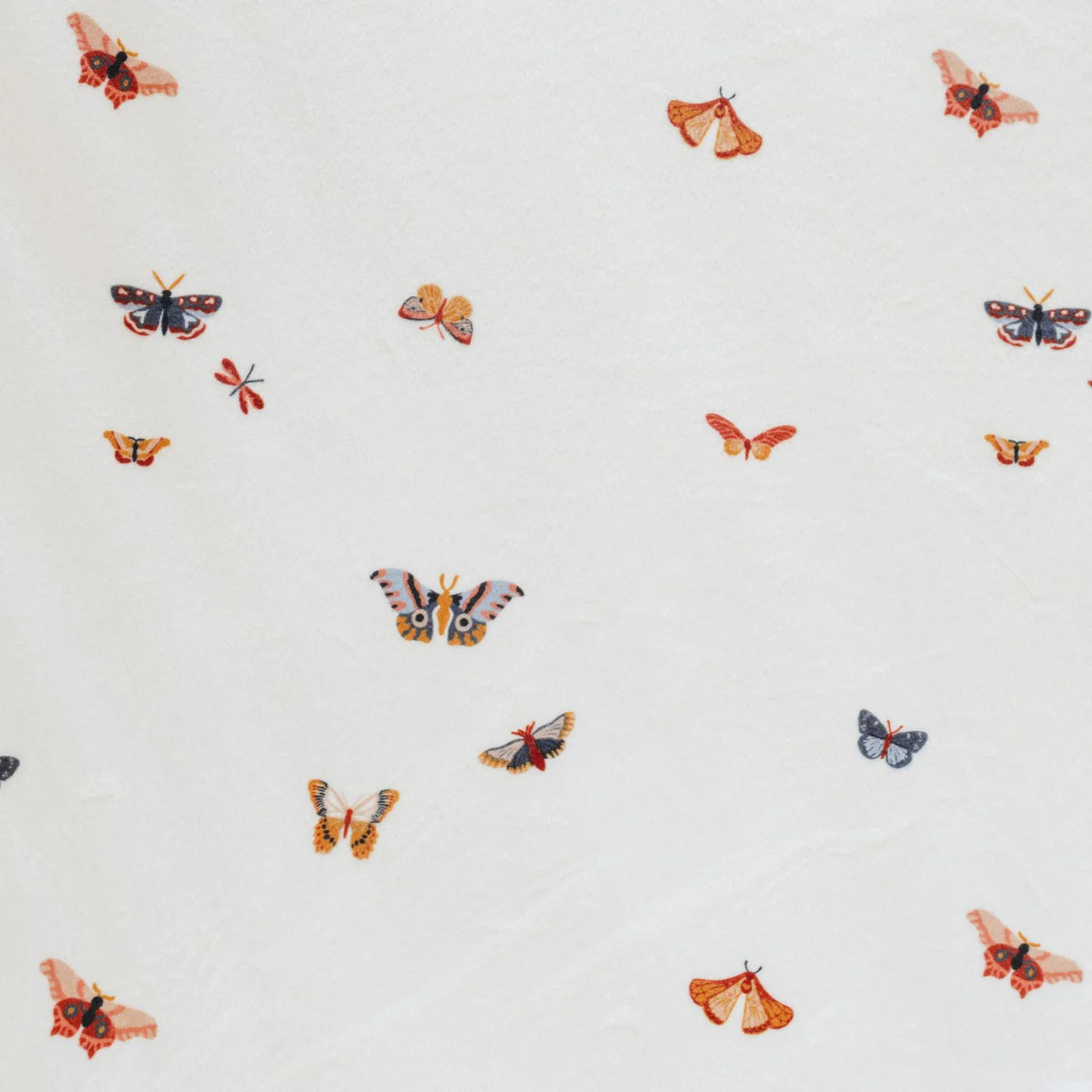 Butterfly pattern on a white background
