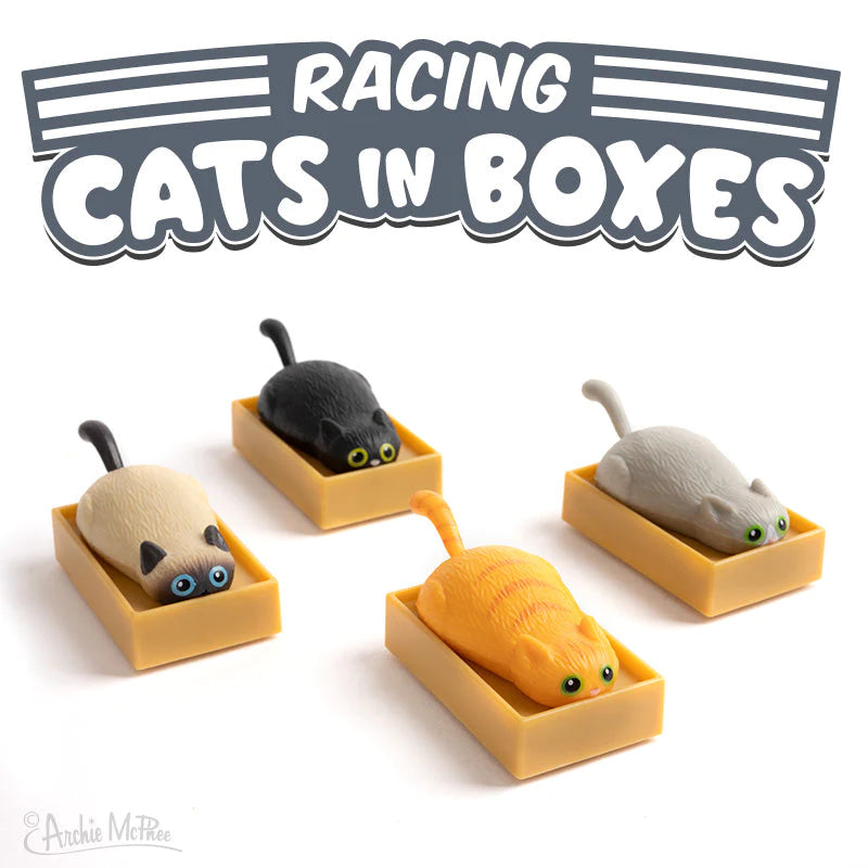 Racing Cat in Box 196 TOYS CHILD Archie McPhee 
