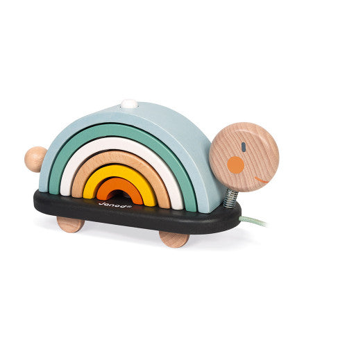 Cocoon Rainbow Turtle