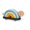 Cocoon Rainbow Turtle
