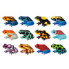 Tropical Frogs Memory Game 196 TOYS CHILD Mudpuppy 