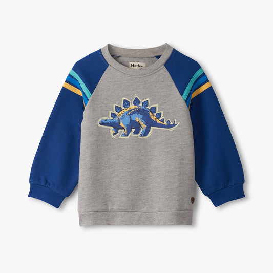 Gray sweatshirt with blue sleeves and dinosaur graphic on a white background