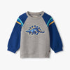 Gray sweatshirt with blue sleeves and dinosaur graphic on a white background