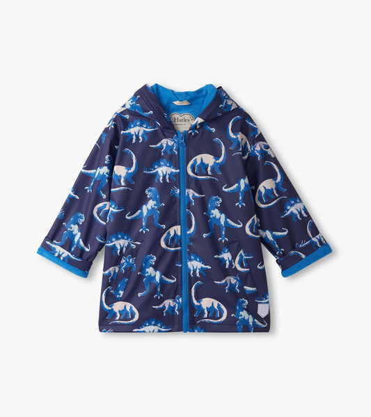 Painted Dino Color Changing Raincoat