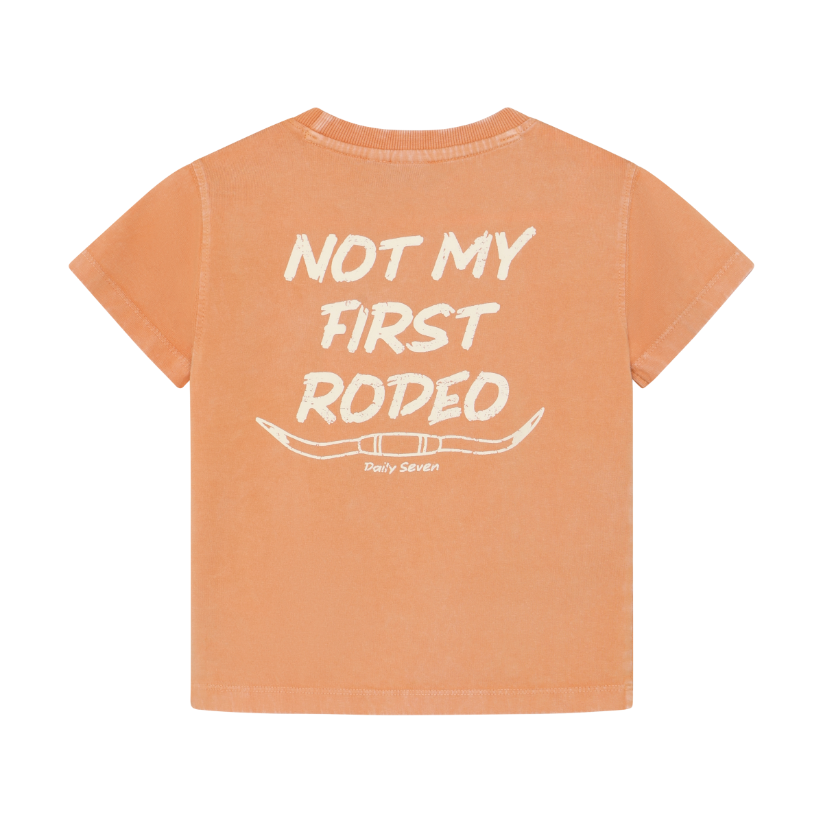 Not My First Rodeo Tee