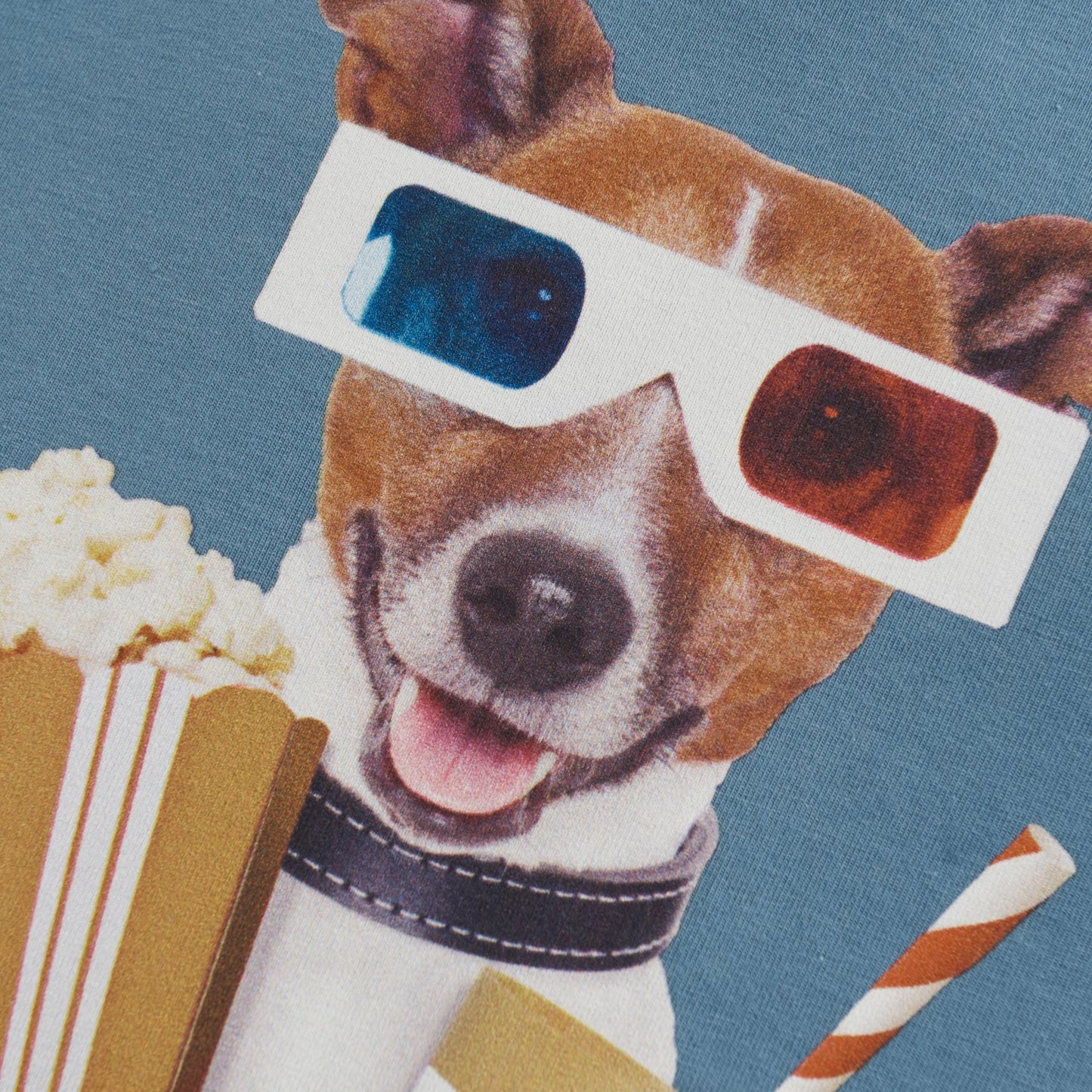 Dog with Movie Snacks Top