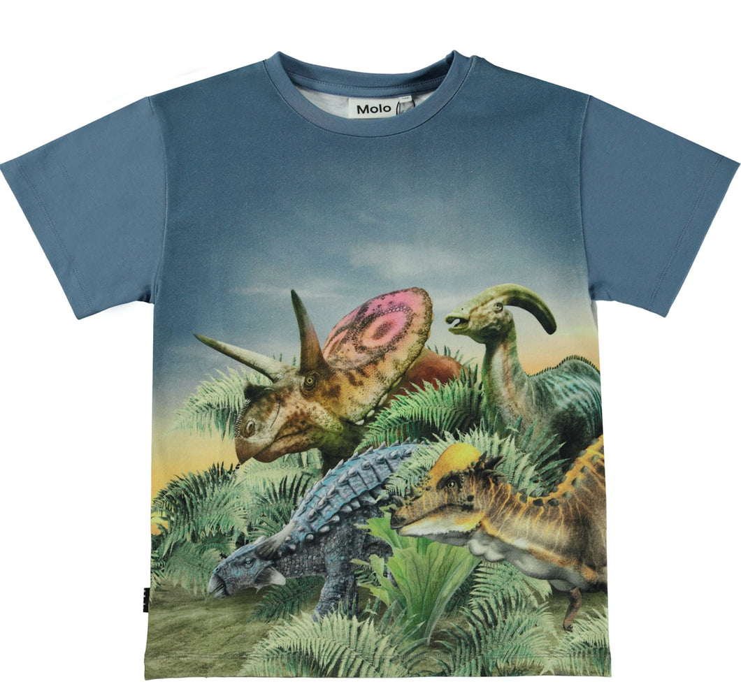 Dino Friend Scene Tee 140 BOYS APPAREL 2-8 Molo 3 