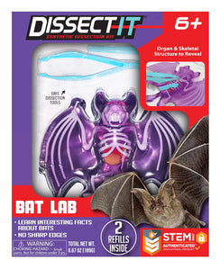 Dissect-It Bat Lab 196 TOYS CHILD Tangle Creations 