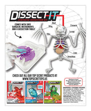 Dissect-It Bat Lab 196 TOYS CHILD Tangle Creations 