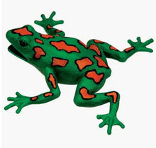 Frog Squishimal 196 TOYS CHILD Toysmith 