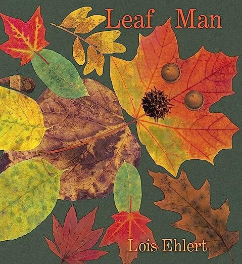 Leaf Man Board Book 191 GIFT BABY Harper Collins 