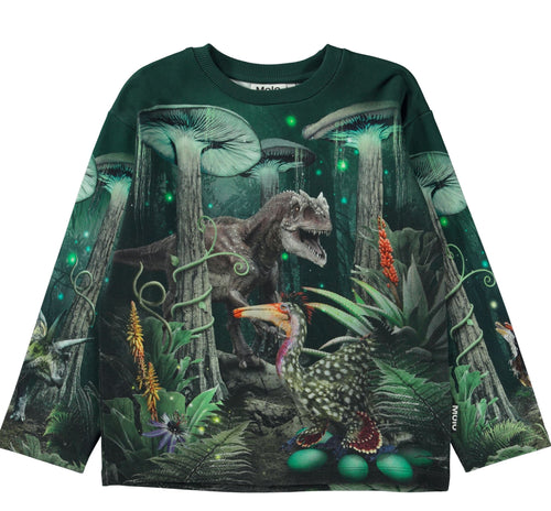 Night Forest Dino Top 140 BOYS APPAREL 2-8 Molo 4 