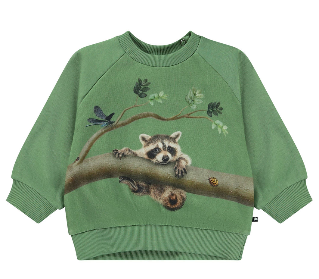 Raccoon Green Sweatshirt 130 BABY BOYS/NEUTRAL APPAREL Molo 6m 