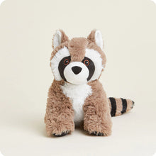 Raccoon Warmies 196 TOYS CHILD Warmies 